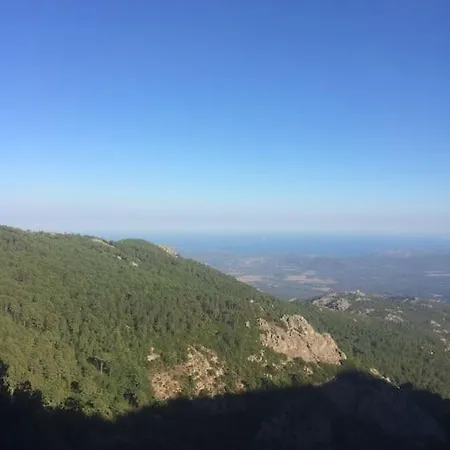 Hébergement de vacances Fraîcheur&calme En Montagne, 30minutes De La *