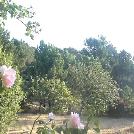 Hébergement de vacances Fraîcheur&calme En Montagne, 30minutes De La Porto-Vecchio (Corsica)