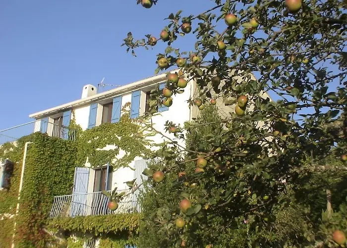 Hébergement de vacances Fraîcheur&calme En Montagne, 30minutes De La Porto-Vecchio (Corsica)