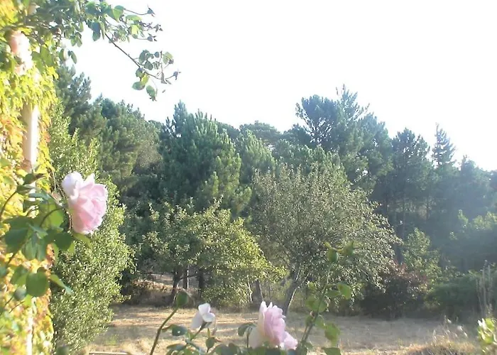 Hébergement de vacances Fraîcheur&calme En Montagne, 30minutes De La Porto-Vecchio (Corsica)