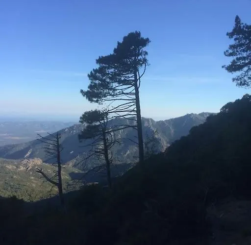 Fraîcheur&calme En Montagne, 30minutes De La * Porto-Vecchio (Corsica)
